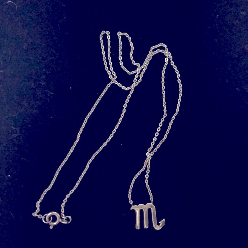 ♏️ Scorpio Sterling Silver Zodiac necklace.
